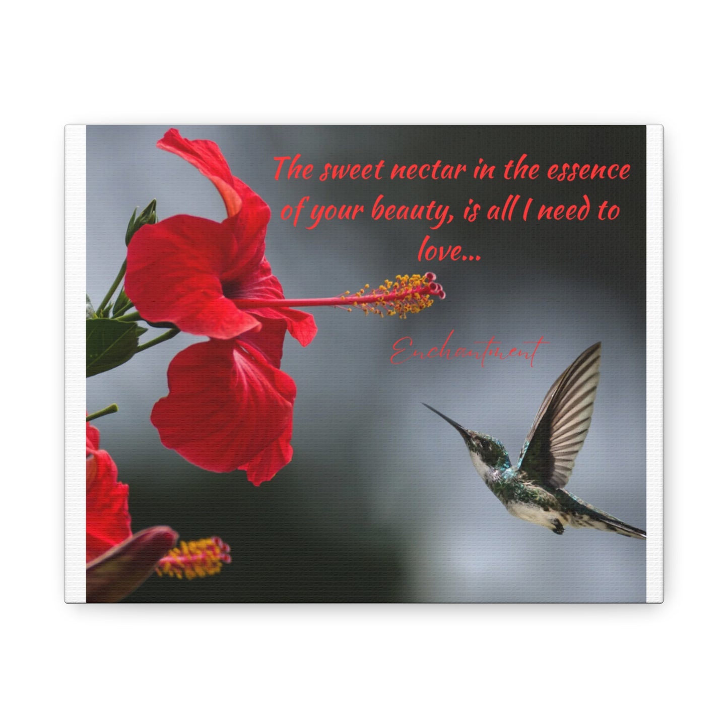 Simple Expressions Floral Canvas Gallery Wrap - "The Sweet Nectar in the Essence of Your Beauty"