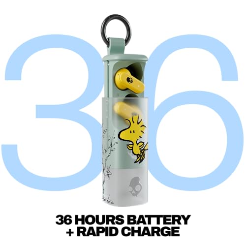 Skullcandy Dime Evo Wireless Earbuds, Bluetooth Headphones, Noise Isolating Fit, Up to 36 Hours Battery, Microphone for iPhone Android, Easy Carry with Clip-Anywhere Case - True Black