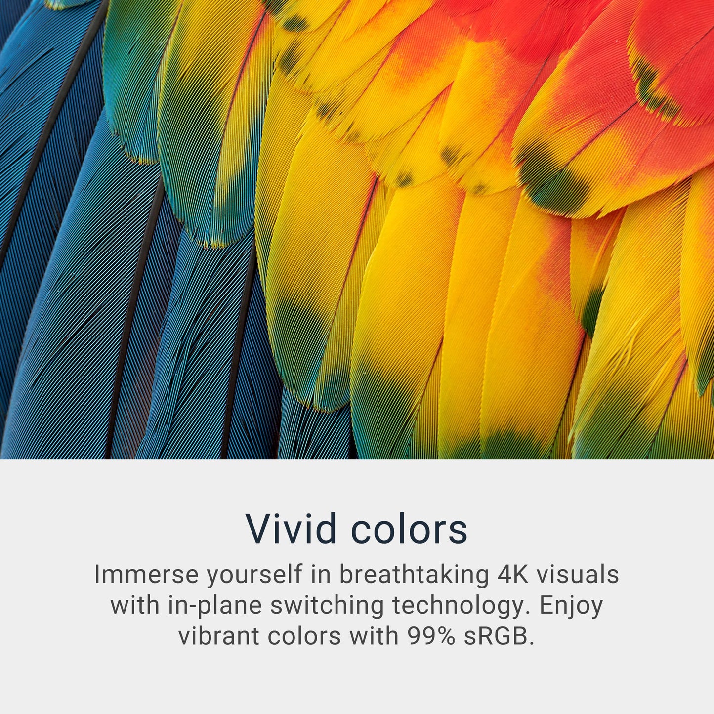 Dell 34 Plus USB-C Curved Monitor - S3425DW - 34-inch (3440 x 1440) up to 120 Hz 21:9 Display, VA Panel, AMD FreeSync Premium, 99% sRGB, 95% DCI-P3, Integrated Speakers, 3000:1 Contrast Ratio