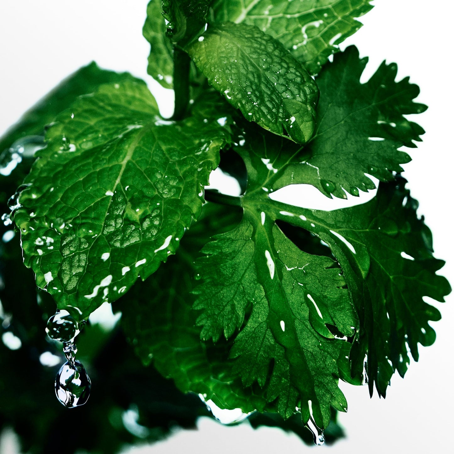 Davidoff Cool Water Eau de Toilette – Aromatic Men's Cologne – With Notes of Coriander, Mint, Lavender & Amber – Long Lasting Fragrance