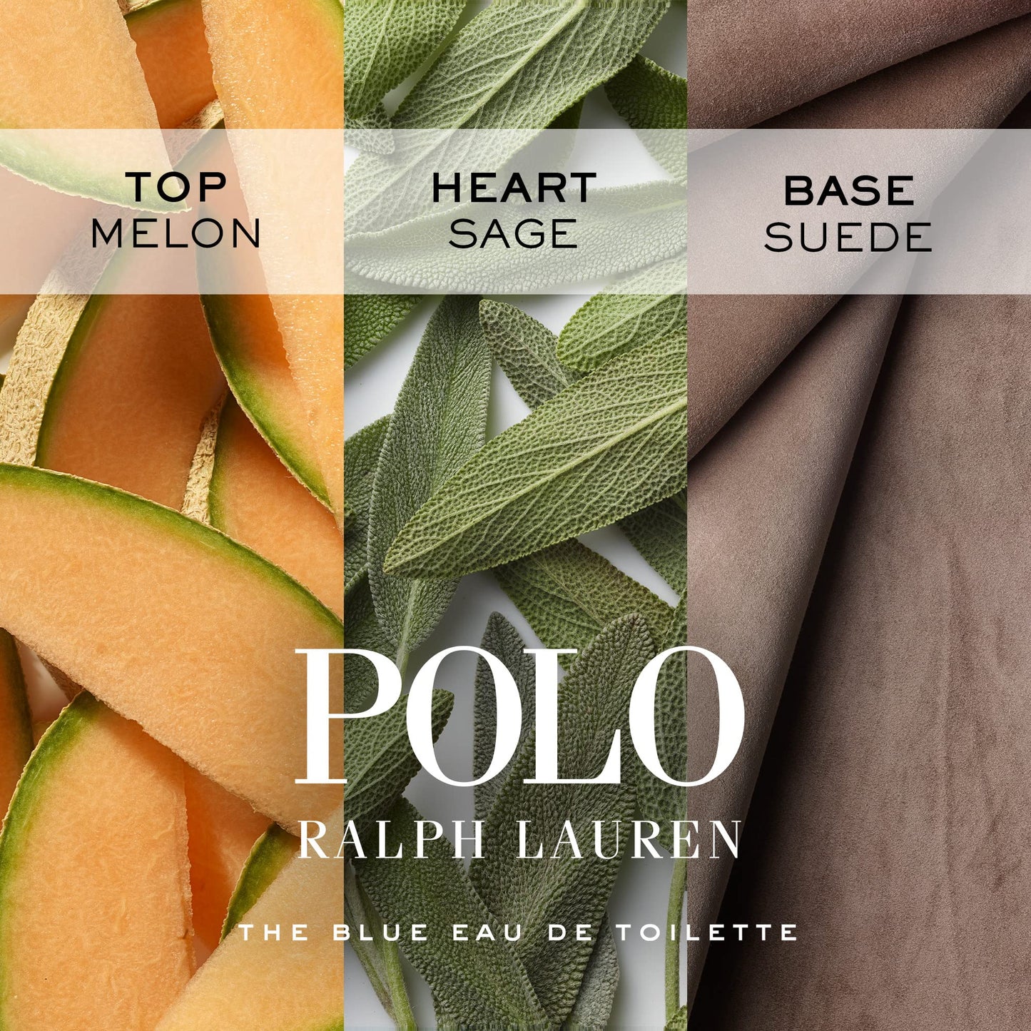 RALPH LAUREN FRAGRANCES - Polo Blue - Eau de Toilette - Men's Cologne - Aquatic & Fresh - With Citrus, Sage, and Suede - Medium Intensity