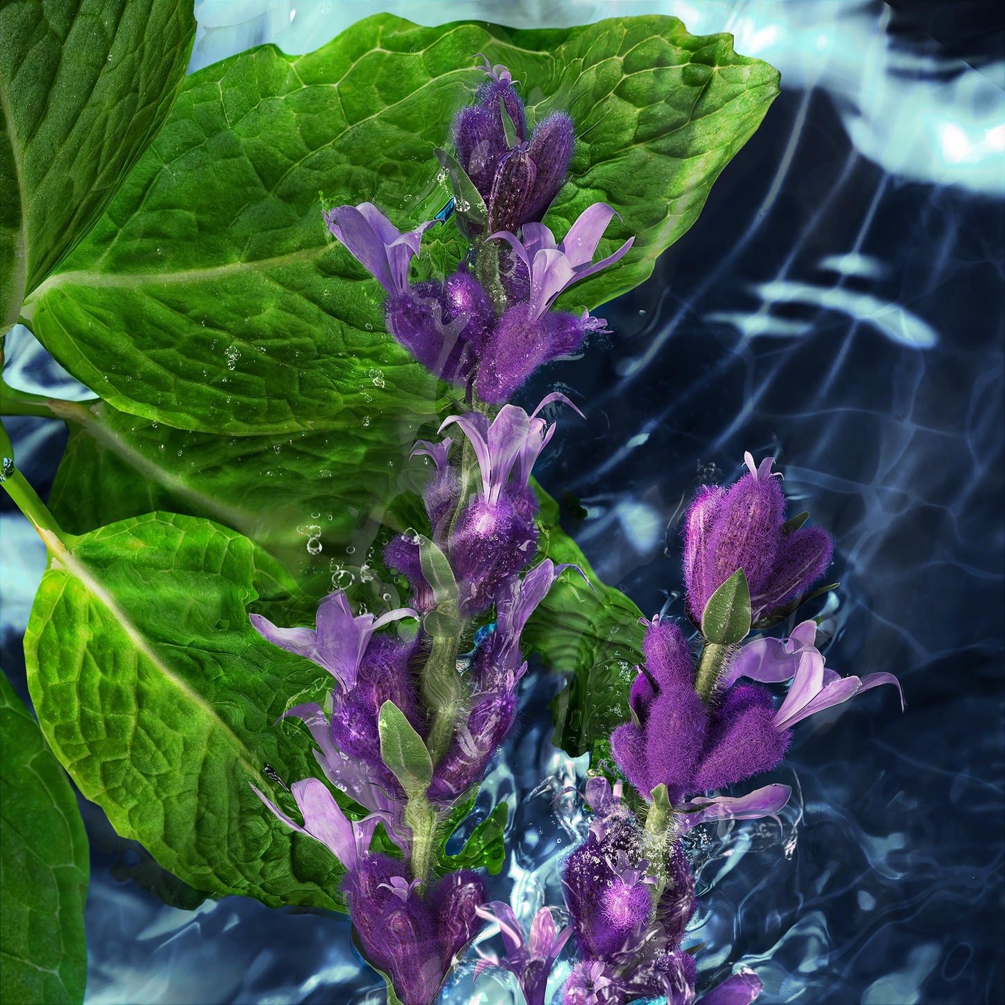 Davidoff Cool Water Eau de Toilette – Aromatic Men's Cologne – With Notes of Coriander, Mint, Lavender & Amber – Long Lasting Fragrance