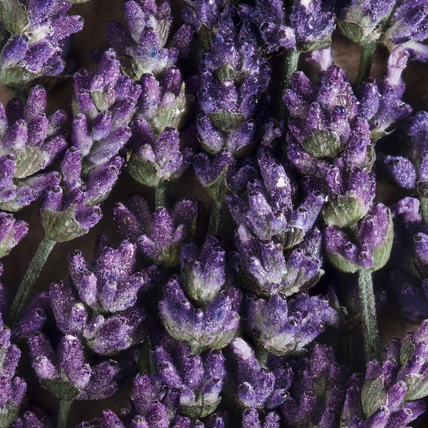 Davidoff Cool Water Eau de Toilette – Aromatic Men's Cologne – With Notes of Coriander, Mint, Lavender & Amber – Long Lasting Fragrance